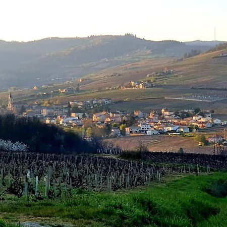 Au Coeur Des Vignes Chenas Du Beaujolais Apartment La Chapelle-de-Guinchay Luaran gambar