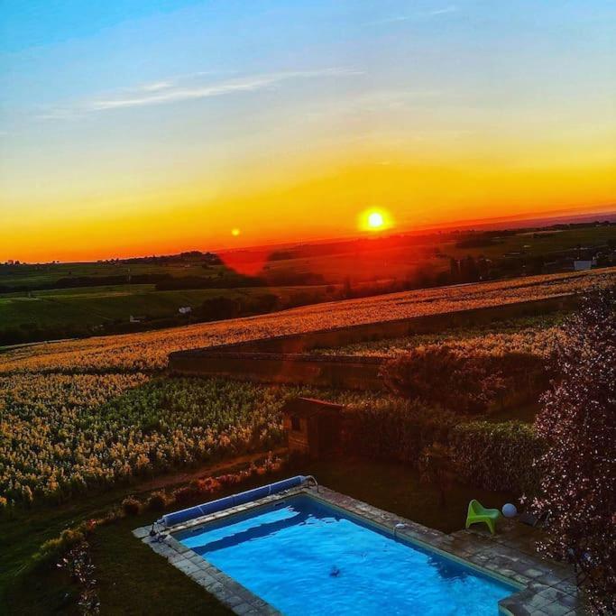 Au Coeur Des Vignes Chenas Du Beaujolais Apartment La Chapelle-de-Guinchay Luaran gambar