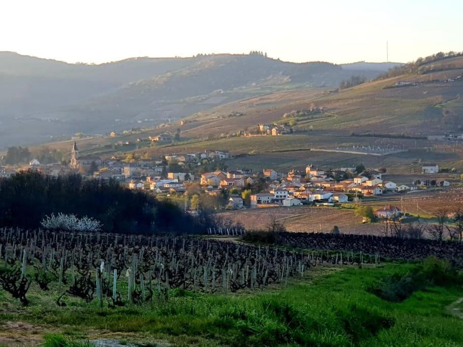 Au Coeur Des Vignes Chenas Du Beaujolais Apartment La Chapelle-de-Guinchay Luaran gambar